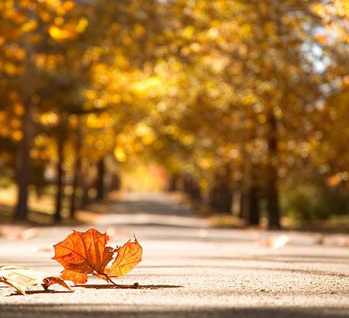 石磨设备公司迎来十二月，2020年已接近收尾